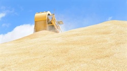 GrainCorp profit up 16pc despite dry southern harvest, tight global markets