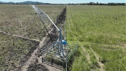 Outstanding Central Queensland cattle country backed by quality irrigation