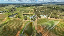 RidgeView Wines presented with vineyard, restaurant, luxury villas | Video