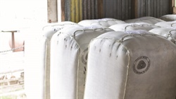 Australian Wool Innovation takes first steps towards 2025 board election