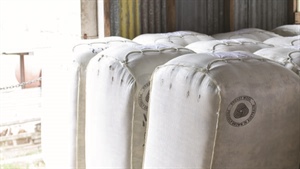 Australian Wool Innovation takes first steps towards 2025 board election