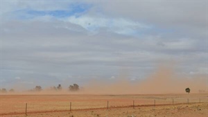 Drought and fewer livestock for sale will stall farm production value gains