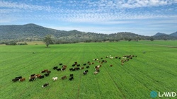 Glenarvon: highly regarded grazing property with significant arable country