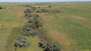 Marionvale: Very well-grassed country within an exclusion fenced cluster