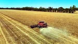 Buyer secured for water-rich farm portfolio in the Goulburn Valley