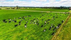 Versatile and well laid out Tongala dairy farm hits the sales market