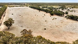 Affordable farm block north of Bendigo worth crunching the numbers