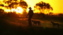 Federal Government's super tax now super serious for Australian farmers