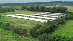 Atherton Tablelands poultry and avocado production with expansion potential