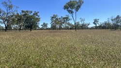 Central west property with tourism operation now listed for $7.2 million