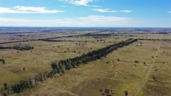 Come-By-Chance with 1272 acres of productive buffel grass country | Photos