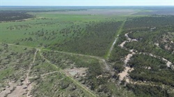 Well-improved Narran River country with grass, farming potential passed in