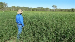 Riverlands delivers drought-proof cattle country with ready market access