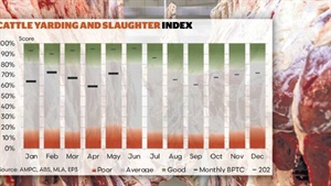 Welcome rebound: May a turning point as beef processor trading conditions lift