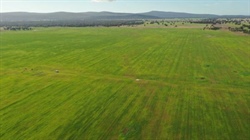 Wentworth a 1472 acre cropping "expansion opportunity" close to grain depot