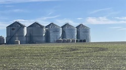 Climatologist warns that green paddocks don't mean the drought is over