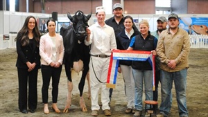 Cow with the 'complete package' nabs Canadian a dairy title at Bendigo