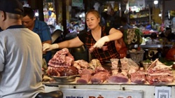 Popular TV show gives foreign officials sneak peek into Aussie farming