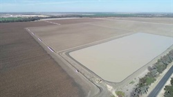 Diverse Border Rivers irrigation, farming and grazing aggregation | Photos