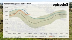 What the continuing US herd liquidation means for Aussie beef producers