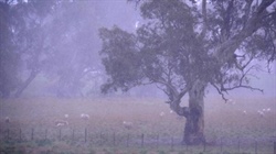 System sweeps across the country bringing rains everywhere it goes