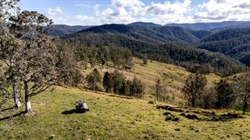 Ecologically rich Eaglehawk retains a sense of seclusion and wilderness