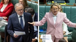 Super tax hot topic in parliament, Labor douses hopes of farmer carve-out