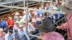 Elders in turmoil as more agents leave the company in sudden split
