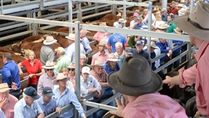 Elders in turmoil as more agents leave the company in sudden split
