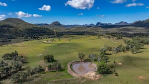 Productive cattle country with quality pasture on market for $2.5 million