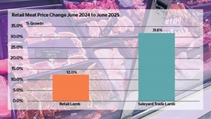 How lamb saleyard price boom could play out on Aussie supermarket shelves