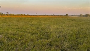 Development potential: 6578 acre property with 5km river frontage on market