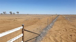 Government freezes RIC interest rates in year of drought and flooding rains