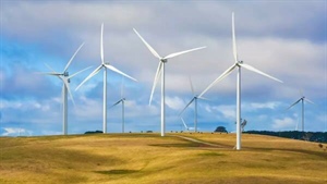 Self-delusion is not a strategy with renewables energy policy | Comment
