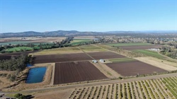 Productive Brisbane Valley irrigation farm with organic status for sale