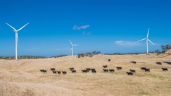 Energy transition can't keep happening 'to' community. Real support is needed