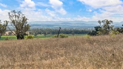 Darling Downs rural lifestyle properties in demand at Toowoomba auction