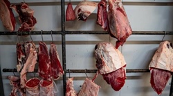 Vaccinated to be allergic to meat: when those who preach morals, are immoral
