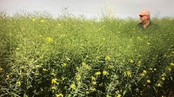 No price listed, but agent tips affordable sale for lower EP cropping farm