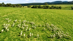 Nutrien hires James Auty from rival to target high-end farm property deals