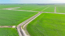 Receivers send major border region irrigation operation to auction | Video
