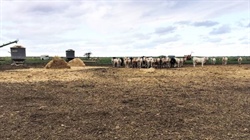 A tale of two farm blocks at Kerang, both have been priced to sell