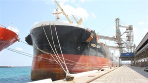 Will grain trade be a casualty of 'Australia first' shipping policy?