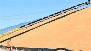 CBH makes drastic decision to lock out workers as bargaining talks sour