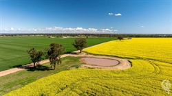 Abundance offered with flood-free, low frost risk cropping country | Video