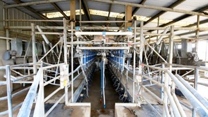 New starters take note, easy-to-run dairy farm sellsafter listing for $1.4m