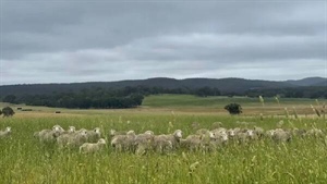 Spring's annual 'fight' blows hot and cold across country for next few days
