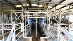New starters take note, easy-to-run dairy farm sells after listing for $1.4m