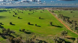 High-yielding grains, pulses, prime lambs and quality Merino wool | Video