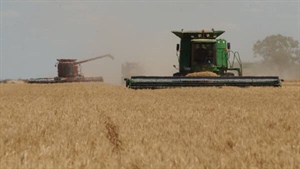 Duxton Farms investors revolt against Ed Peter's merger plan and share stake